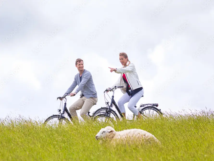 Radfahrendes Pärchen auf dem grünen Deich